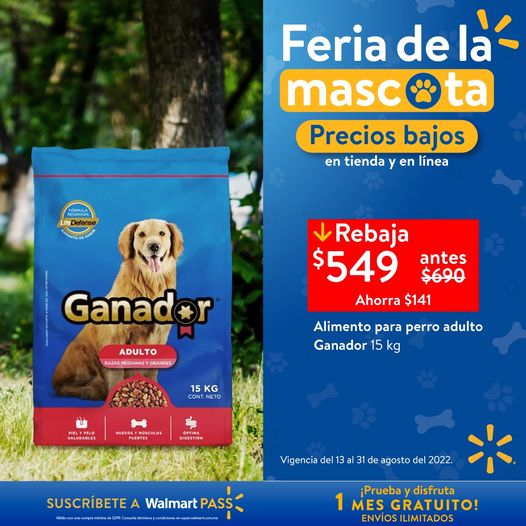 Catálogo Walmart - 13.8.2022 - 31.8.2022. Página 13