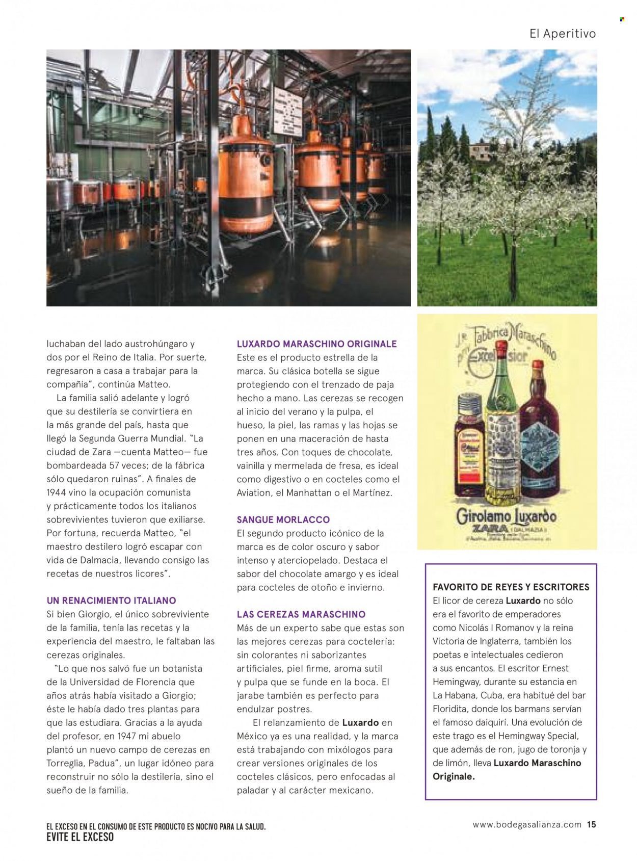 thumbnail - Folleto actual Bodegas Alianza - 1.11.2022 - 31.12.2022 - Ventas - bebida alcohólica, vino, Maraschino. Página 17.