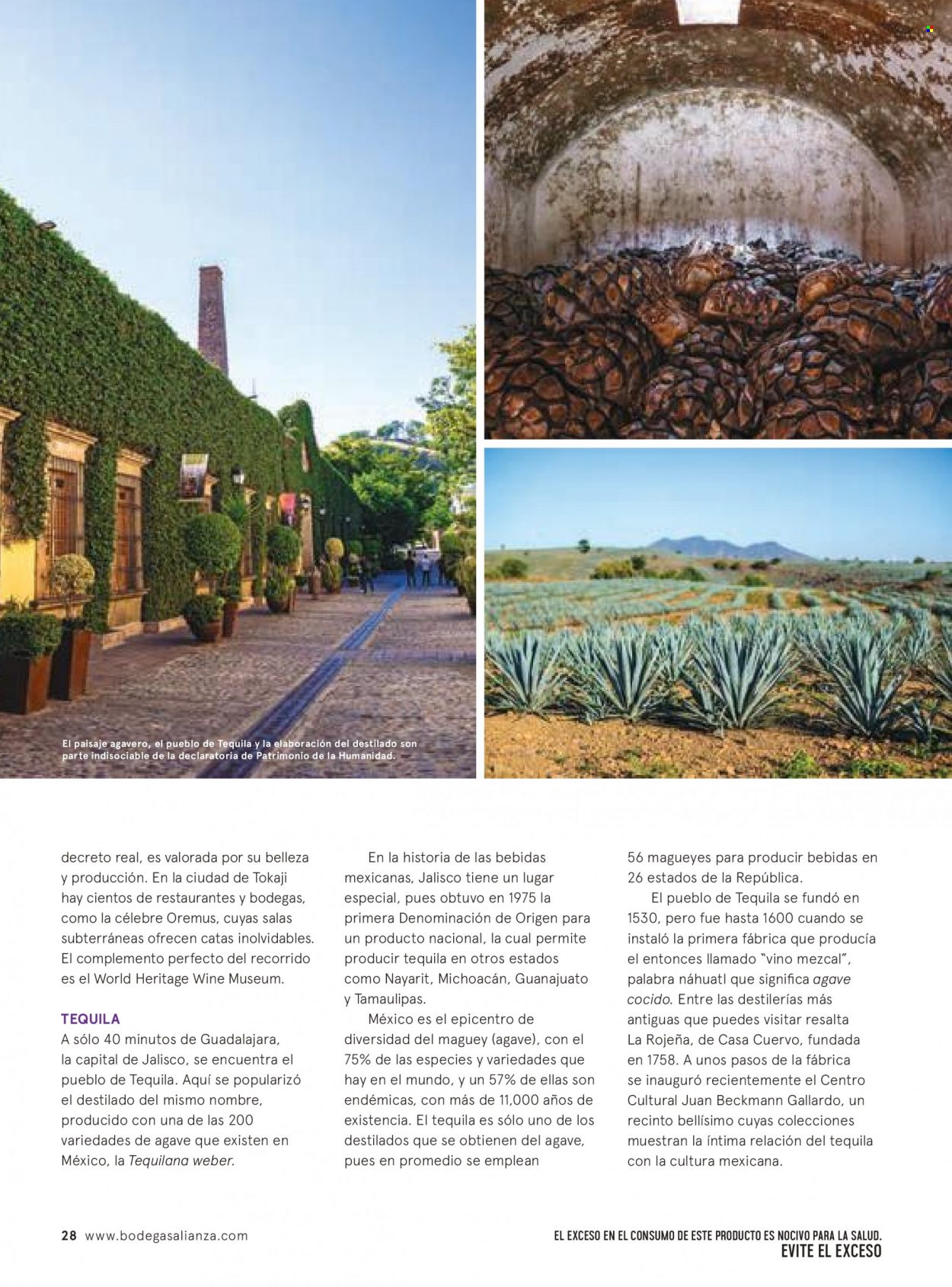 thumbnail - Folleto actual Bodegas Alianza - 1.11.2022 - 31.12.2022 - Ventas - bebida alcohólica, vino, tequila. Página 32.