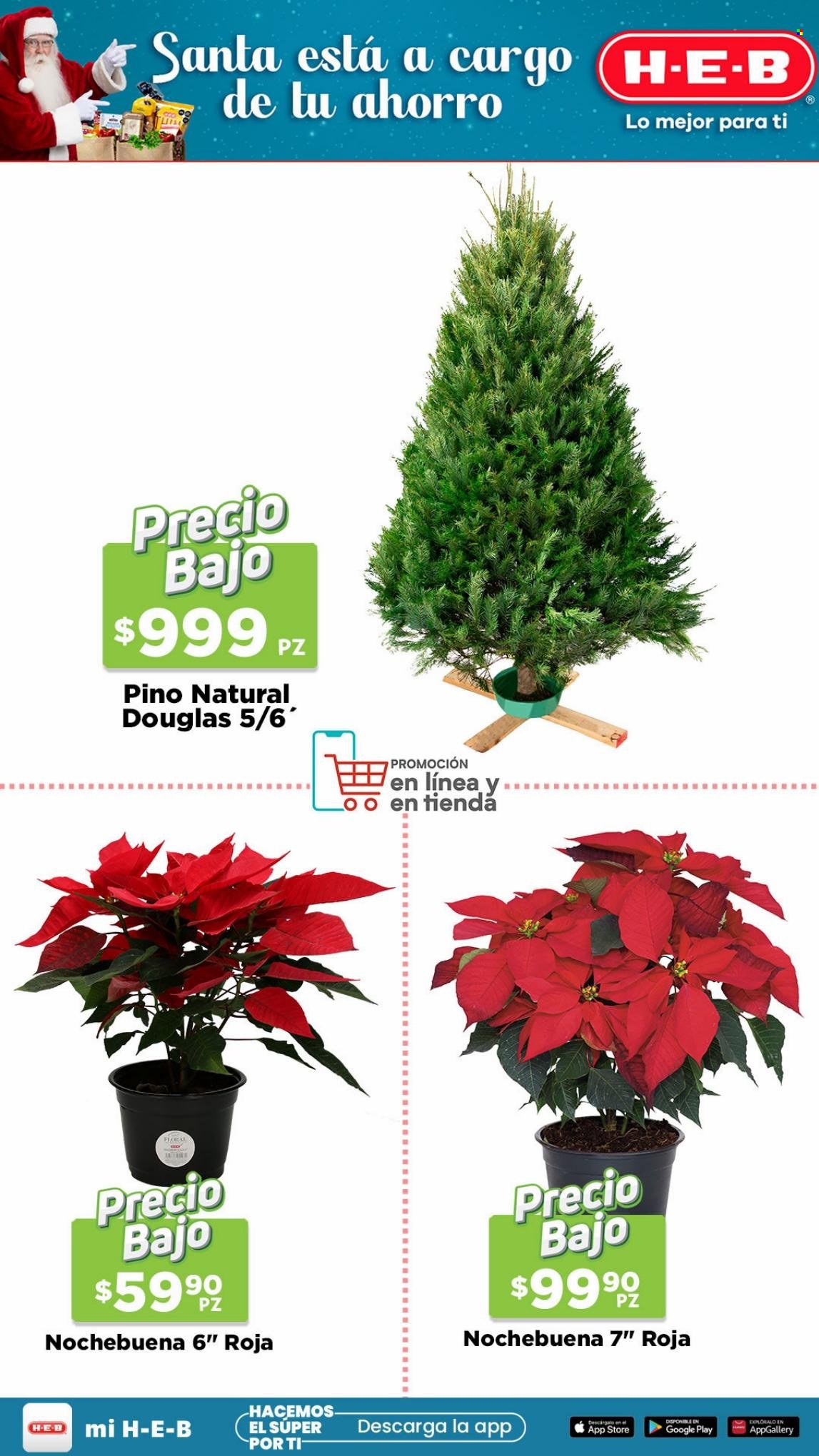 Catálogo H-E-B - 2.12.2022 - 5.12.2022. Página 7