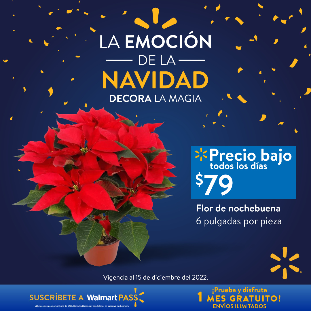 Catálogo Walmart - 30.11.2022 - 15.12.2022. Página 6