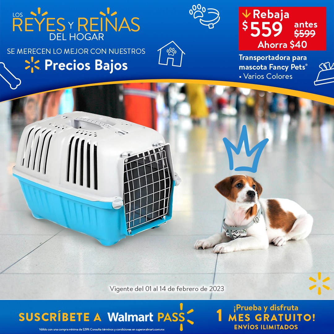 Catálogo Walmart - 1.2.2023 - 14.2.2023. Página 49