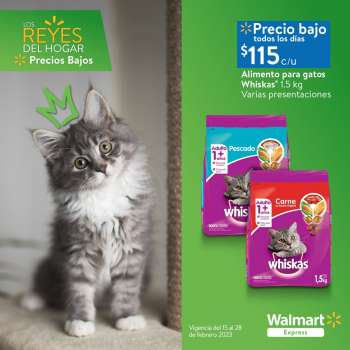 Folleto actual Walmart Express - 15.2.2023 - 28.2.2023.