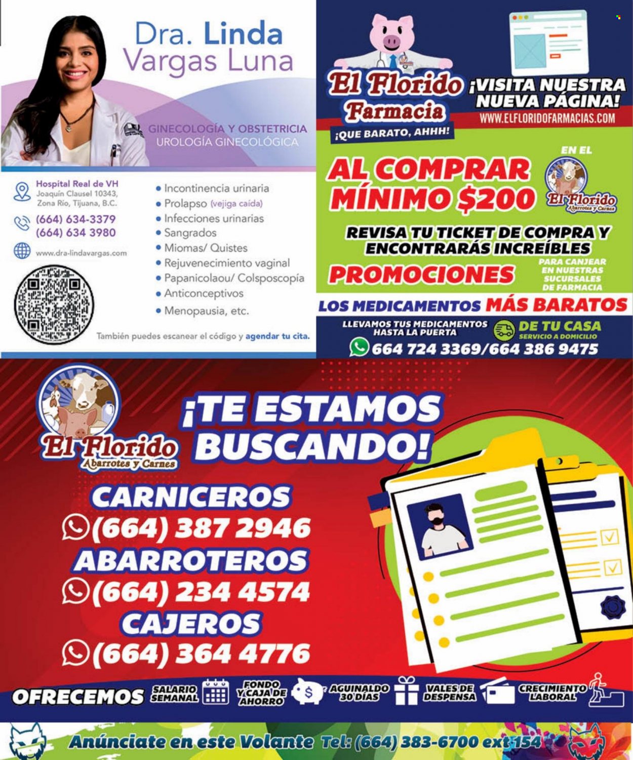 Catálogo El Florido - 3.3.2023 - 9.3.2023. Página 15