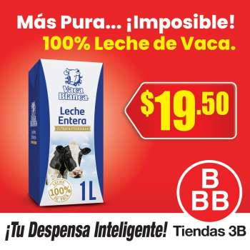 Folleto actual Tiendas 3B.
