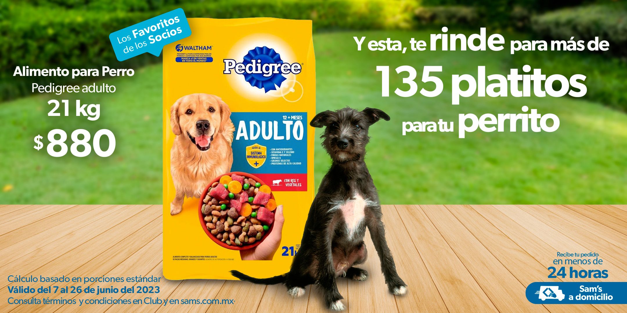 Catálogo Sam's Club - 7.6.2023 - 26.6.2023. Página 2