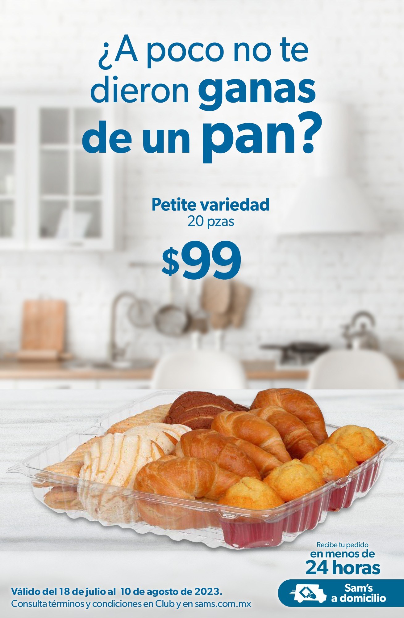 Catálogo Sam's Club - 18.7.2023 - 10.8.2023. Página 63