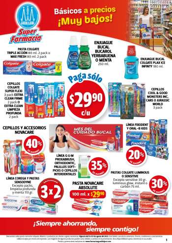 Farmacias Guadalajara Flyer - 08/15/2023 - 08/31/2023.