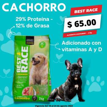 Folleto actual Tiendas 3B - 18.8.2023 - 24.8.2023.