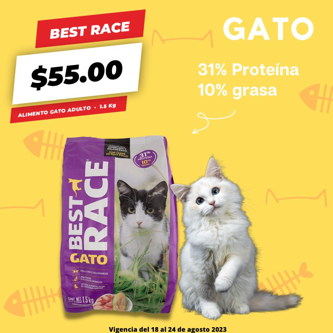 Catálogo Tiendas 3B - 18.8.2023 - 24.8.2023. Página 2