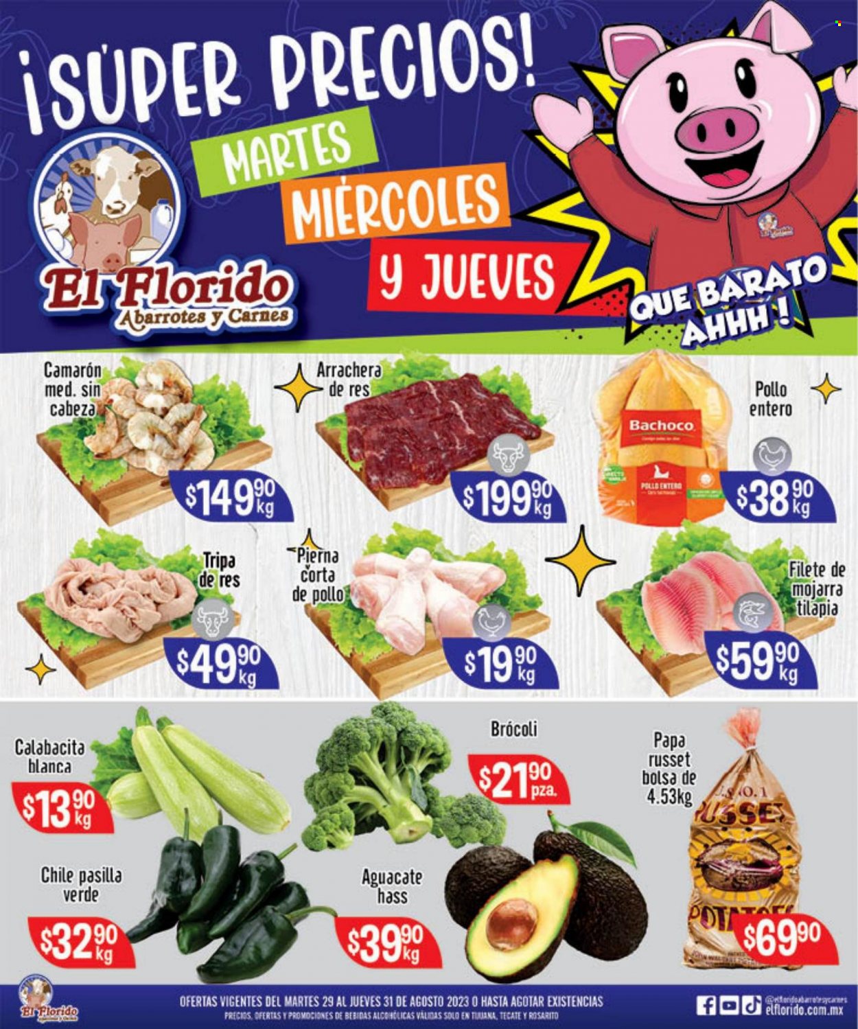 Catálogo El Florido - 29.8.2023 - 31.8.2023. Página 1