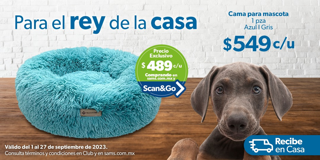 Catálogo Sam's Club - 1.9.2023 - 27.9.2023. Página 77