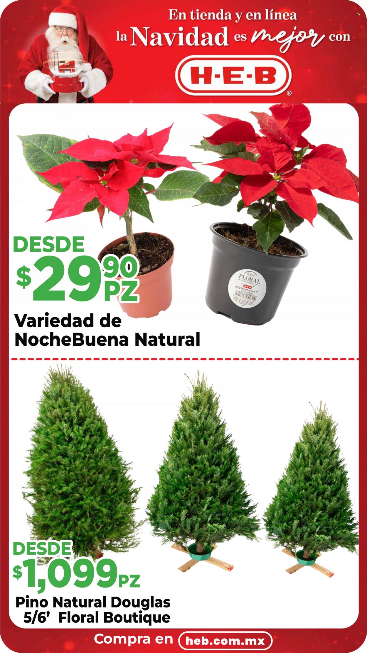 Catálogo H-E-B - 5.12.2023 - 7.12.2023. Página 9