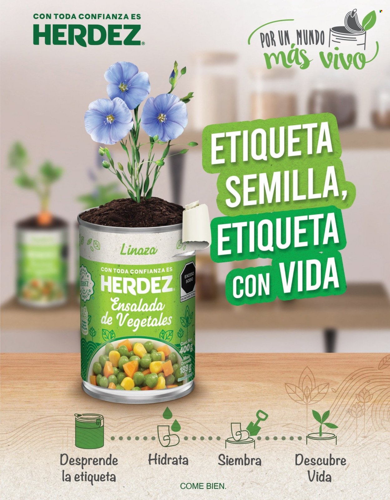 Catálogo Mi Tienda de Ahorro - 29.12.2023 - 11.1.2024. Página 13