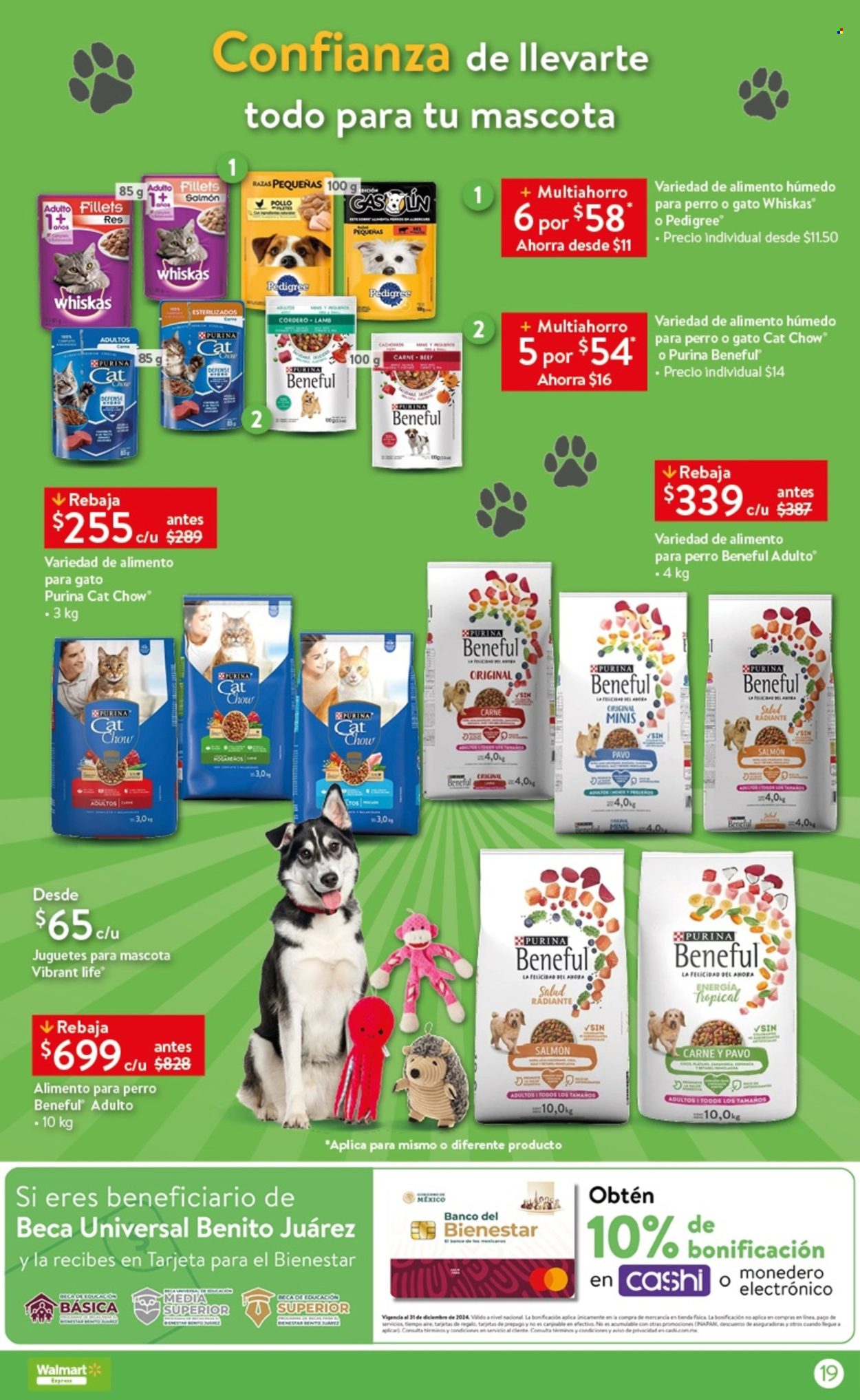 Catálogo Walmart Express - 1.2.2024 - 21.2.2024. Página 19