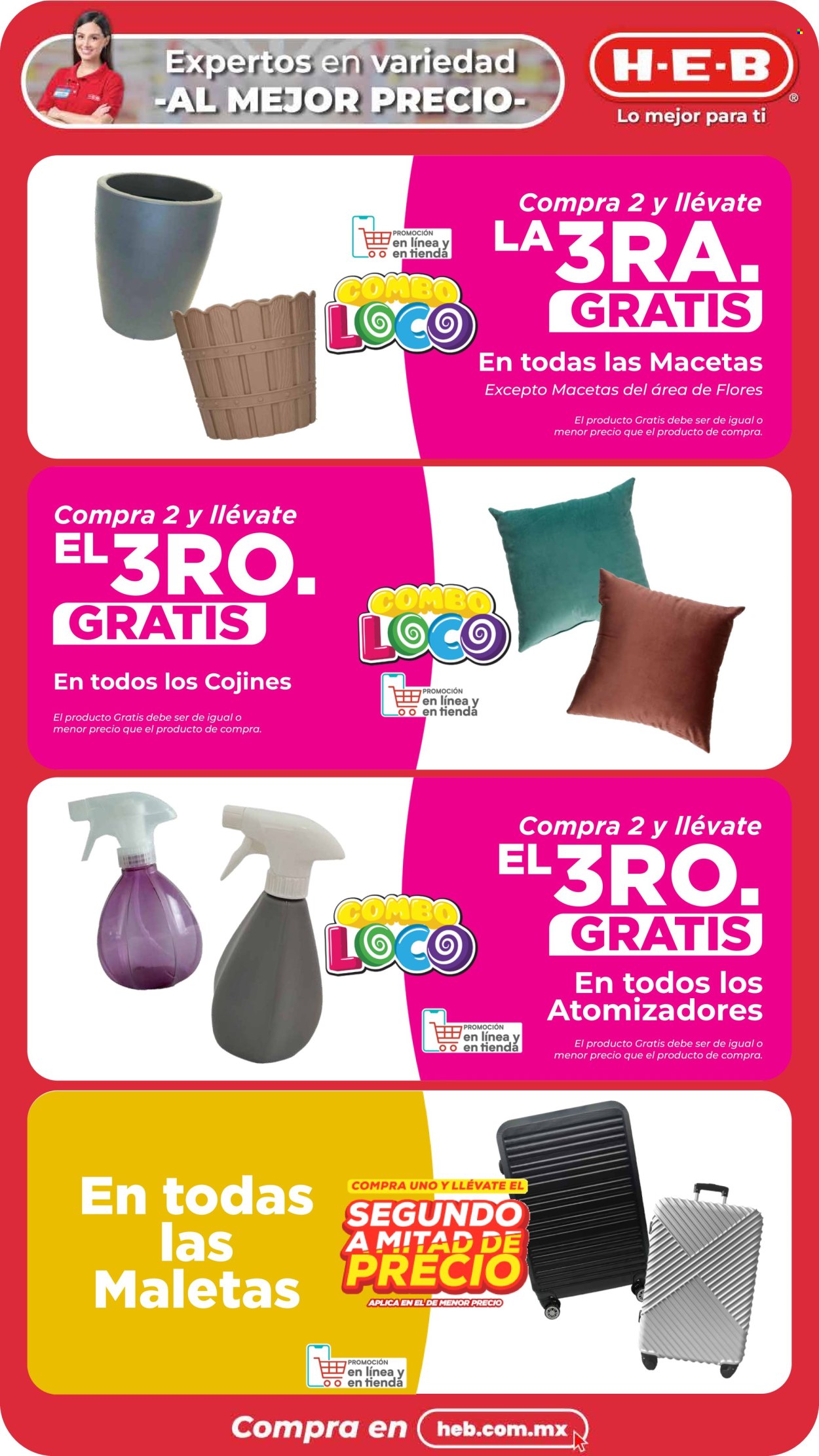 Catálogo H-E-B - 15.3.2024 - 18.3.2024. Página 17