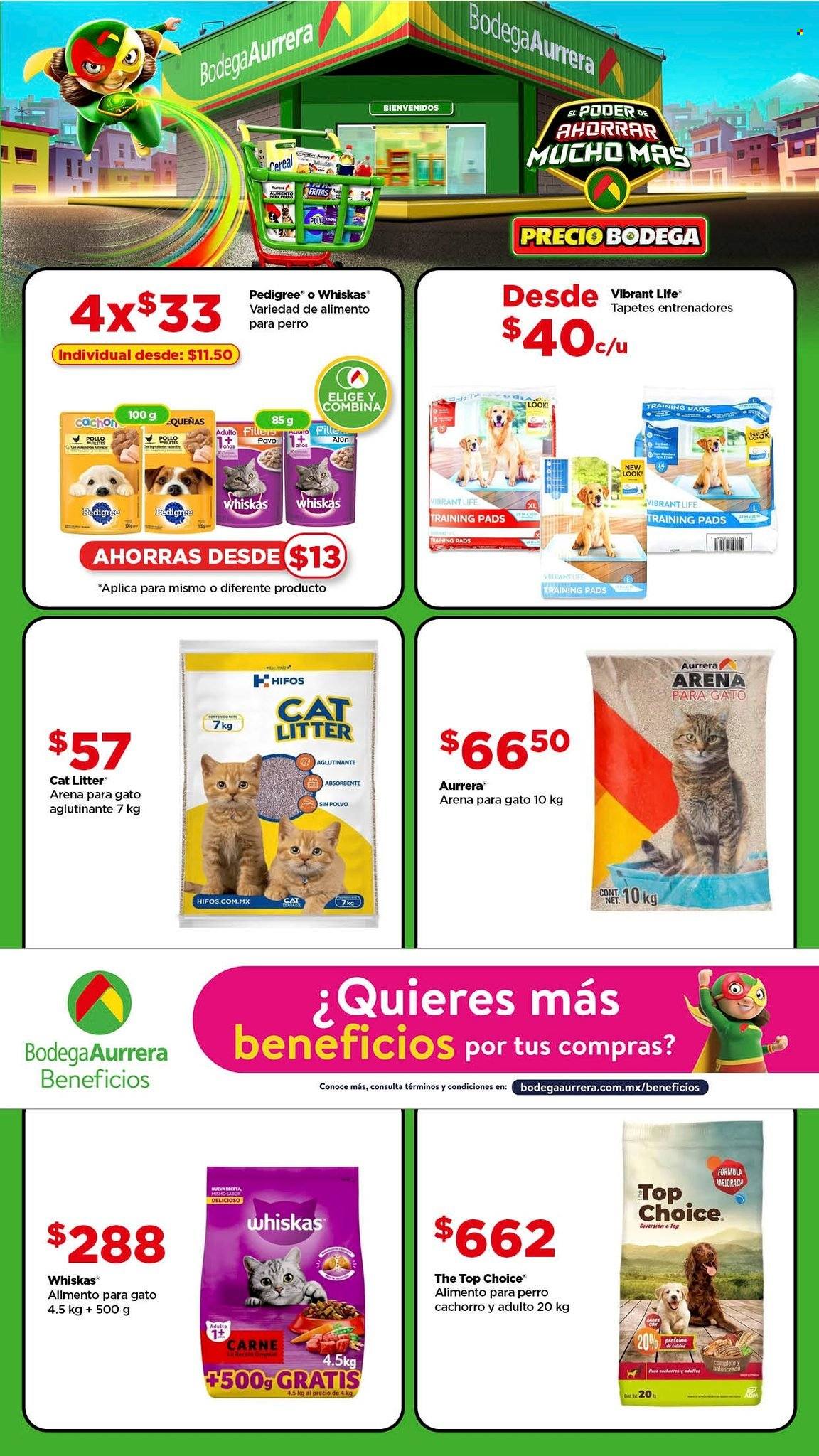 Catálogo Bodega Aurrerá - 4.7.2024 - 24.7.2024. Página 14