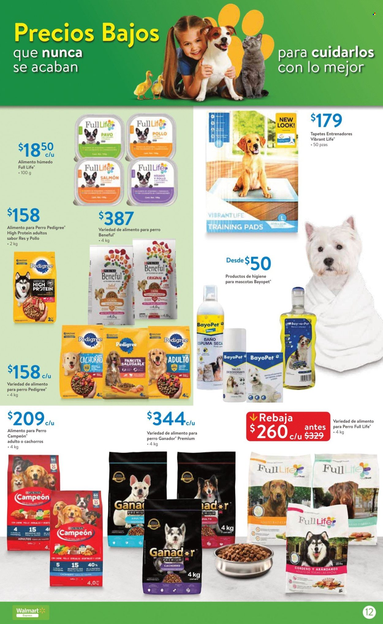 Catálogo Walmart Express - 4.7.2024 - 24.7.2024. Página 12