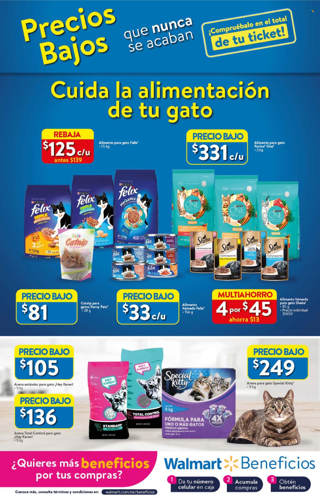 Catálogo Walmart - 25.7.2024 - 14.8.2024. Página 15