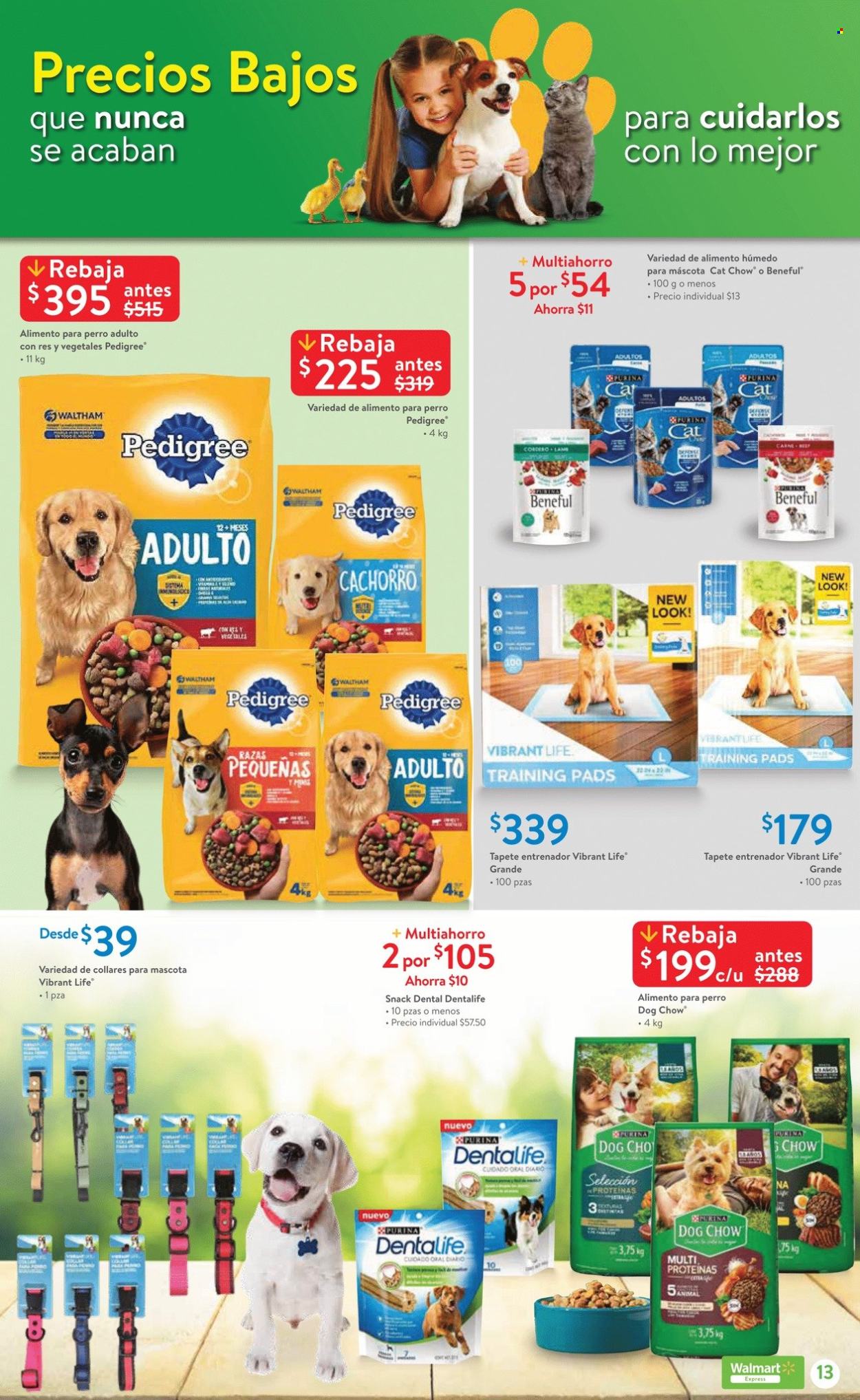Catálogo Walmart Express - 25.7.2024 - 14.8.2024. Página 13