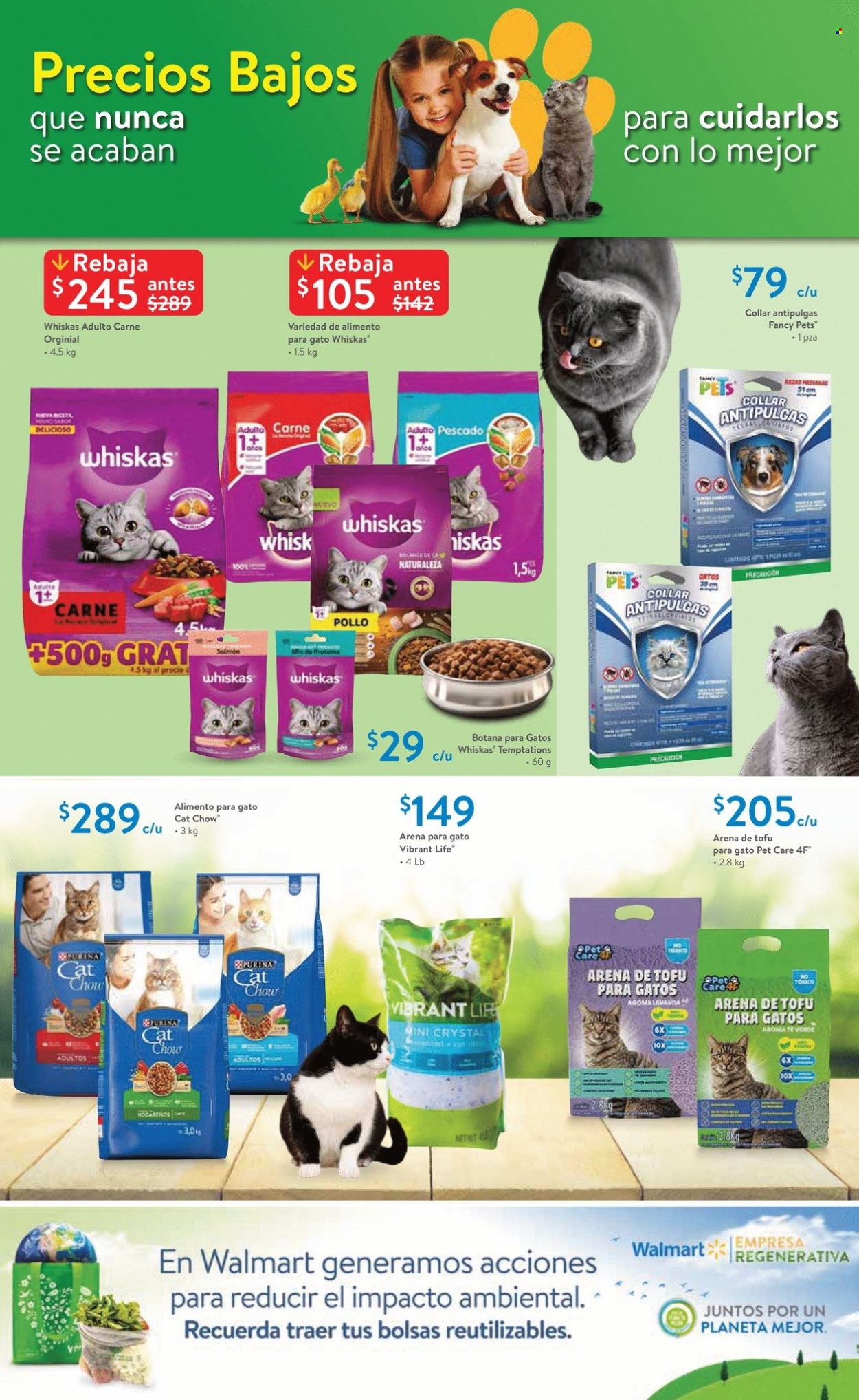 Catálogo Walmart Express - 25.7.2024 - 14.8.2024. Página 14