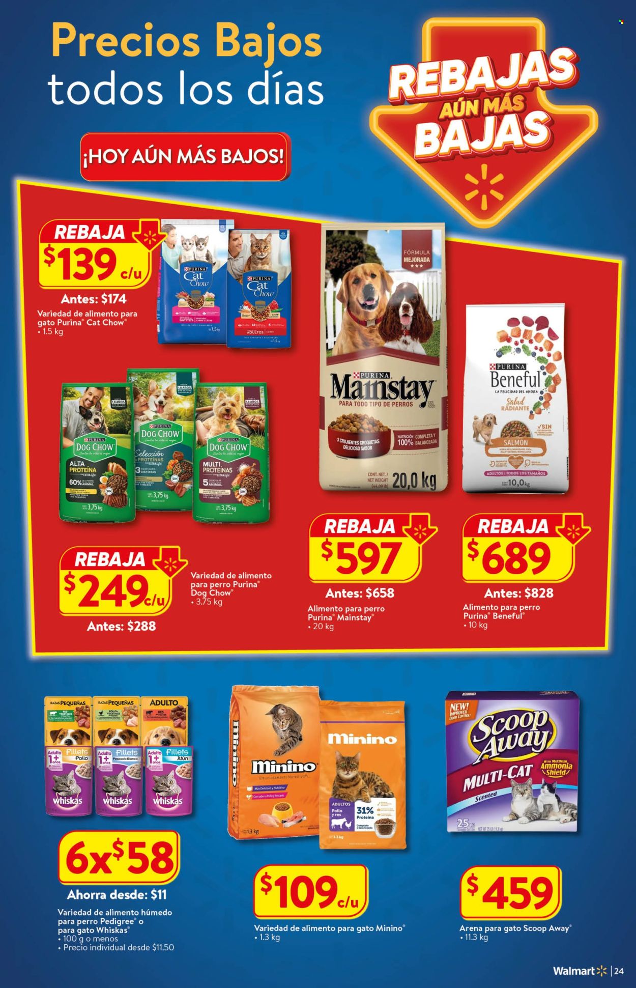 Catálogo Walmart - 18.9.2024 - 16.10.2024. Página 24