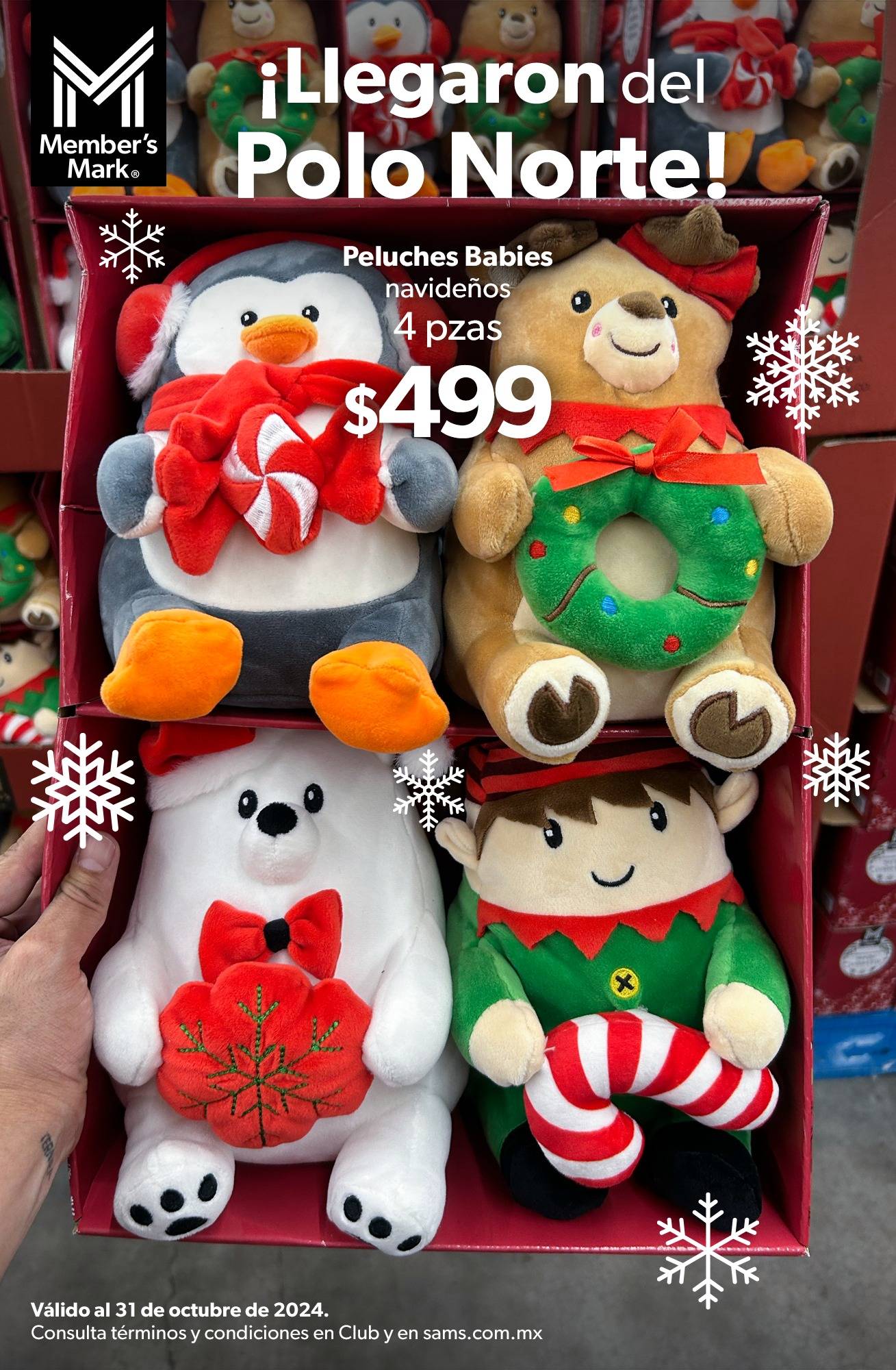 Catálogo Sam's Club - 23.9.2024 - 31.10.2024. Página 51