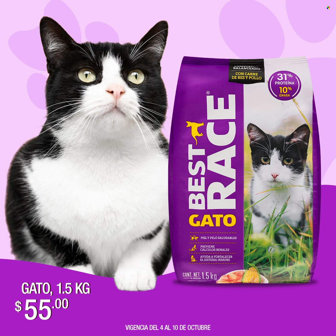 Catálogo Tiendas 3B - 4.10.2024 - 10.10.2024. Página 4