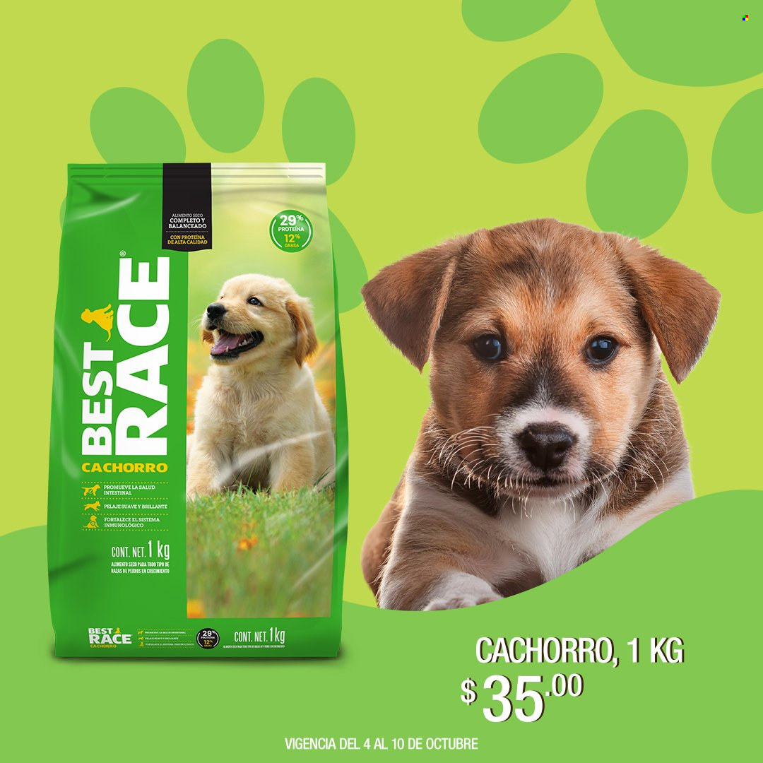 Catálogo Tiendas 3B - 4.10.2024 - 10.10.2024. Página 5