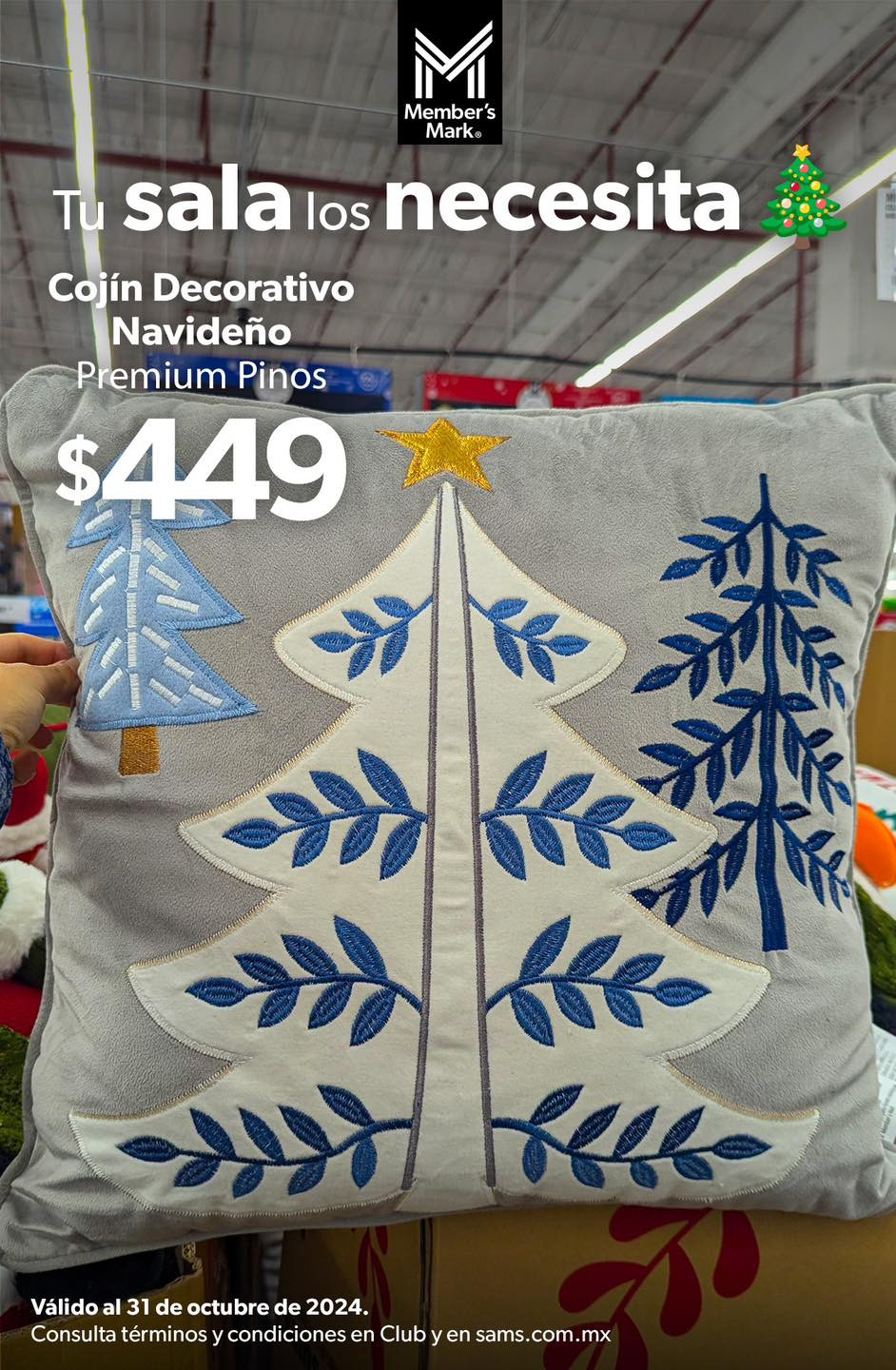 Catálogo Sam's Club - 23.9.2024 - 31.10.2024. Página 37
