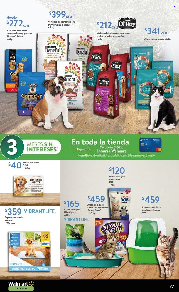 Catálogo Walmart Express - 20.3.2025 - 9.4.2025. Página 22