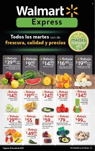 Catálogo Walmart Express - 29.4.2025 - 29.4.2025. Página 1