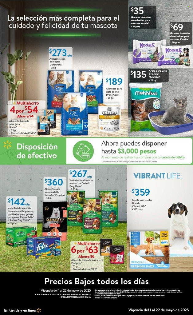 Catálogo Walmart Express - 1.5.2025 - 22.5.2025. Página 23
