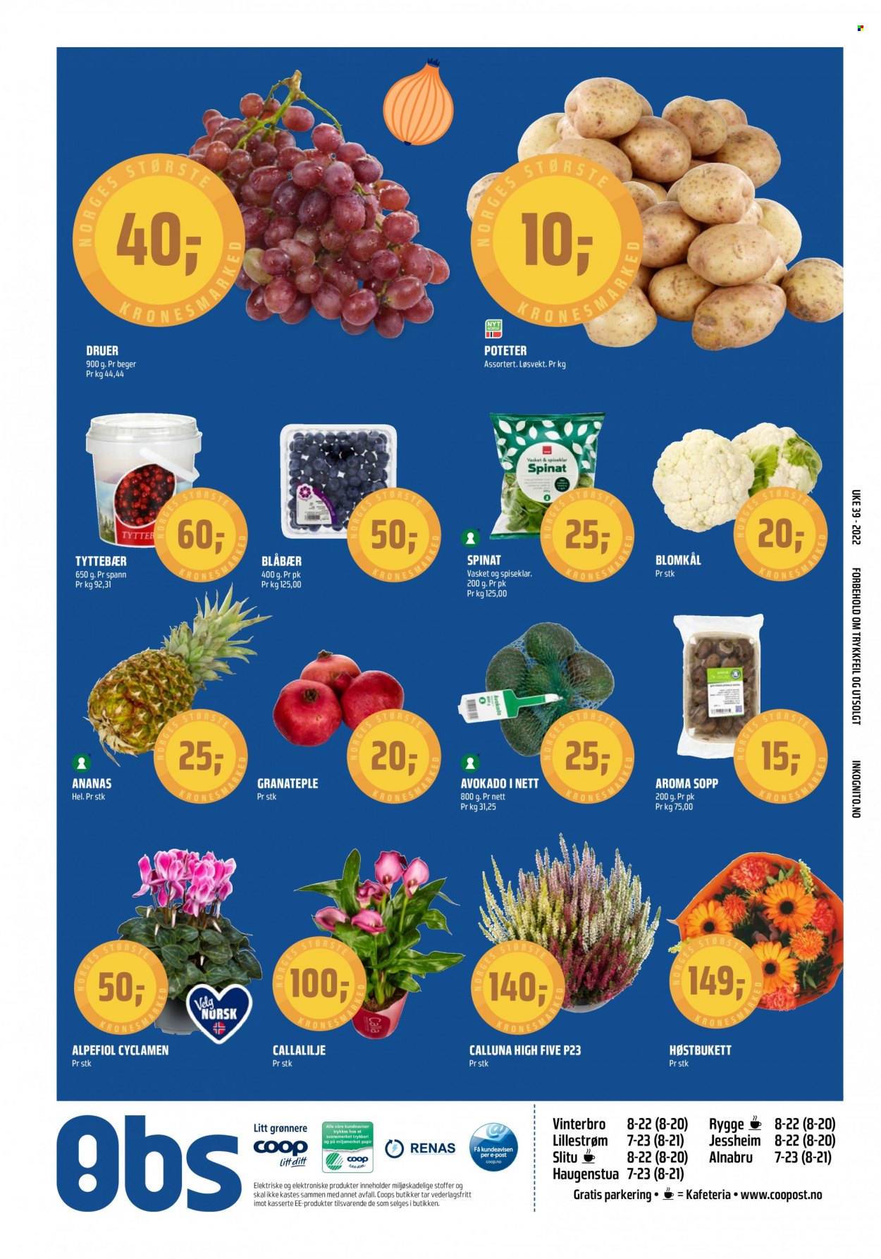 thumbnail - Kundeavis Coop Obs - 25.9.2022 - 1.10.2022 - Produkter fra tilbudsaviser - blåbær, granateple, tyttebær, druer, avokado, blomkål, spinat. Side 20.