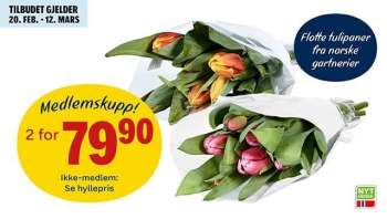Kundeavis Coop Extra - 20.2.2023 - 12.3.2023.