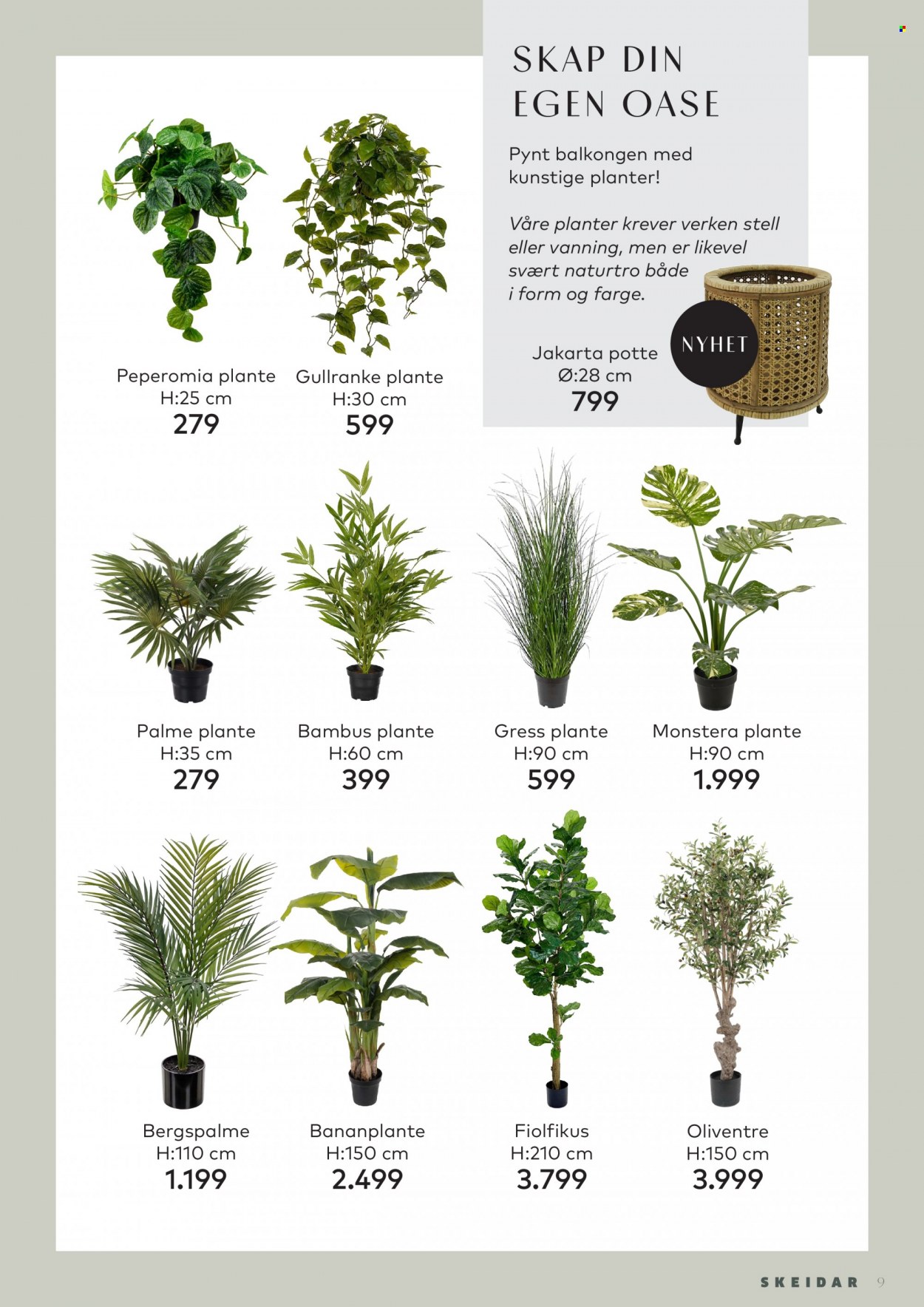 thumbnail - Kundeavis Skeidar - Produkter fra tilbudsaviser - planter. Side 9.