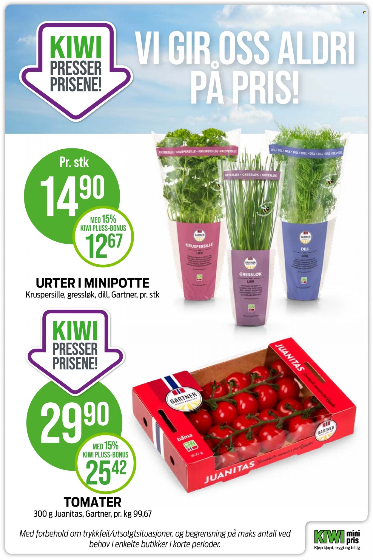 Kundeavis KIWI. Side 24