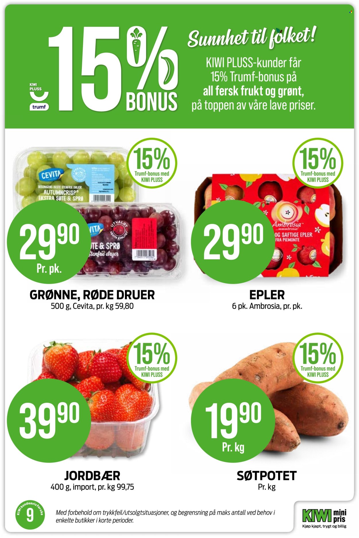 Kundeavis KIWI. Side 18