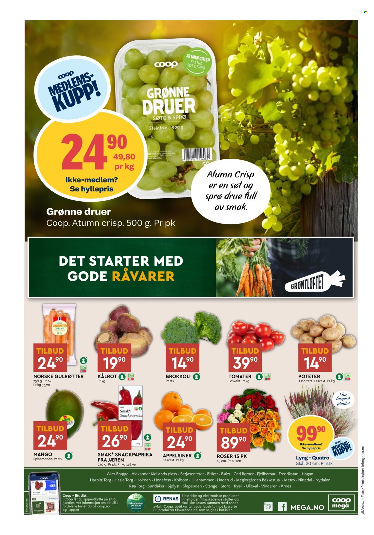 Kundeavis Coop Mega - 16.9.2024 - 21.9.2024. Side 8