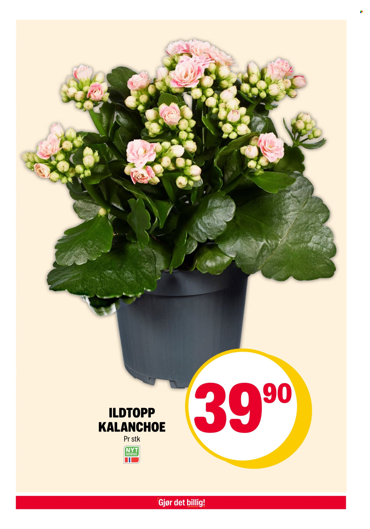 Kundeavis Coop Extra - 14.10.2024 - 20.10.2024. Side 11
