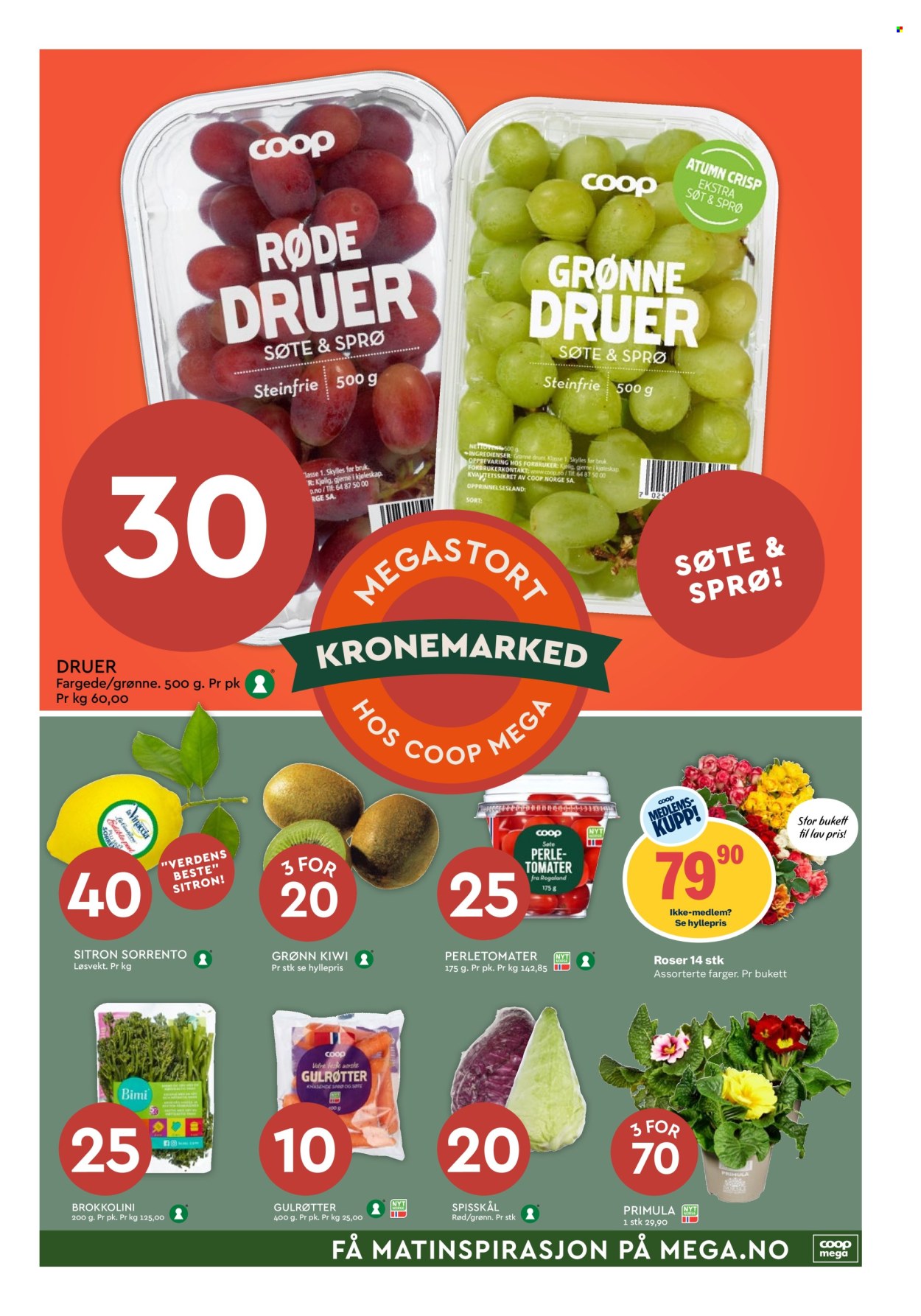 Kundeavis Coop Mega - 20.1.2025 - 25.1.2025. Side 7