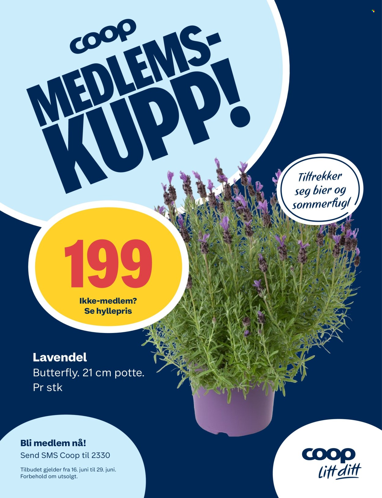 Kundeavis Coop Prix - 16.6.2025 - 22.6.2025. Side 12