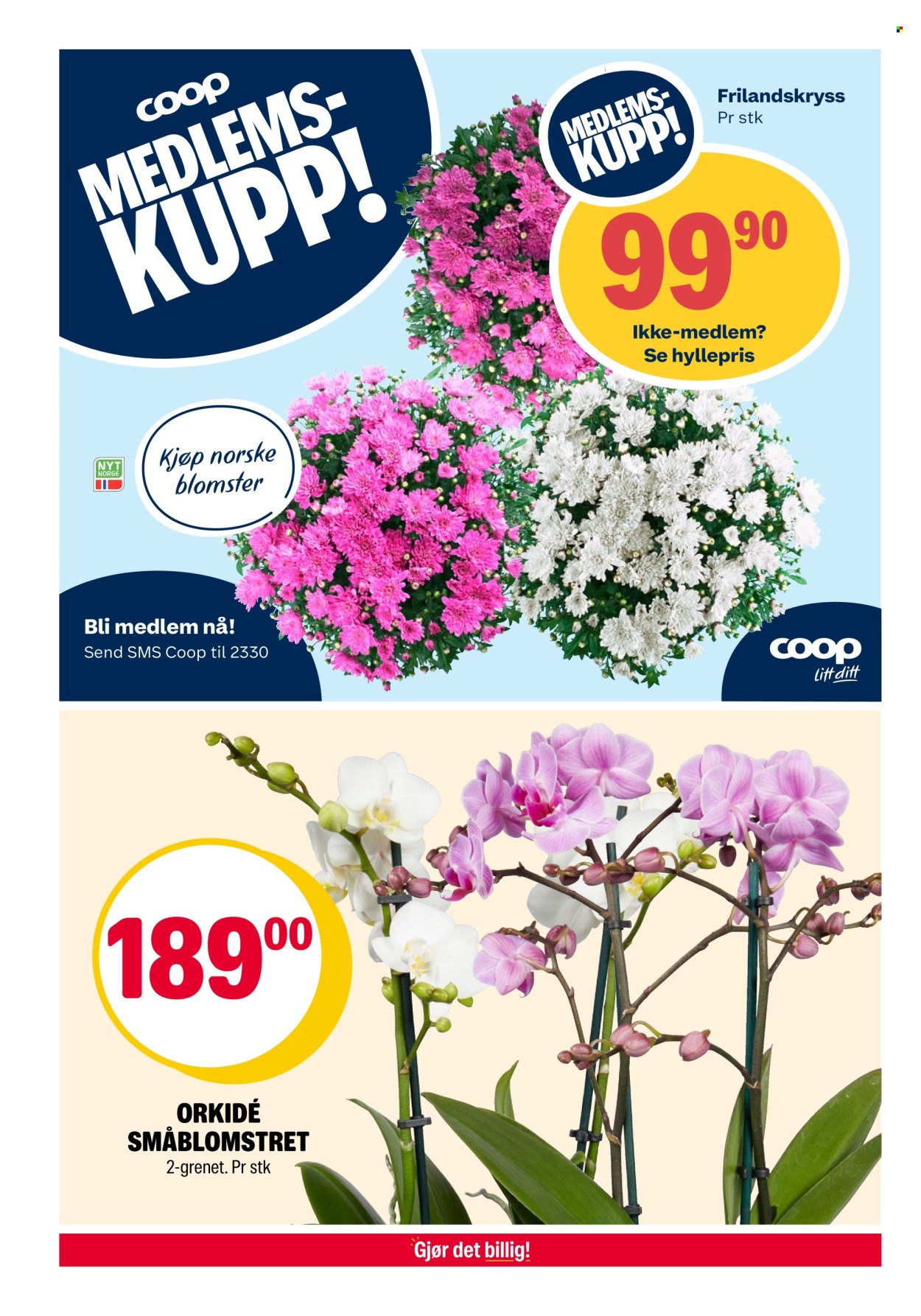 Kundeavis Coop Extra - 14.7.2025 - 20.7.2025. Side 26