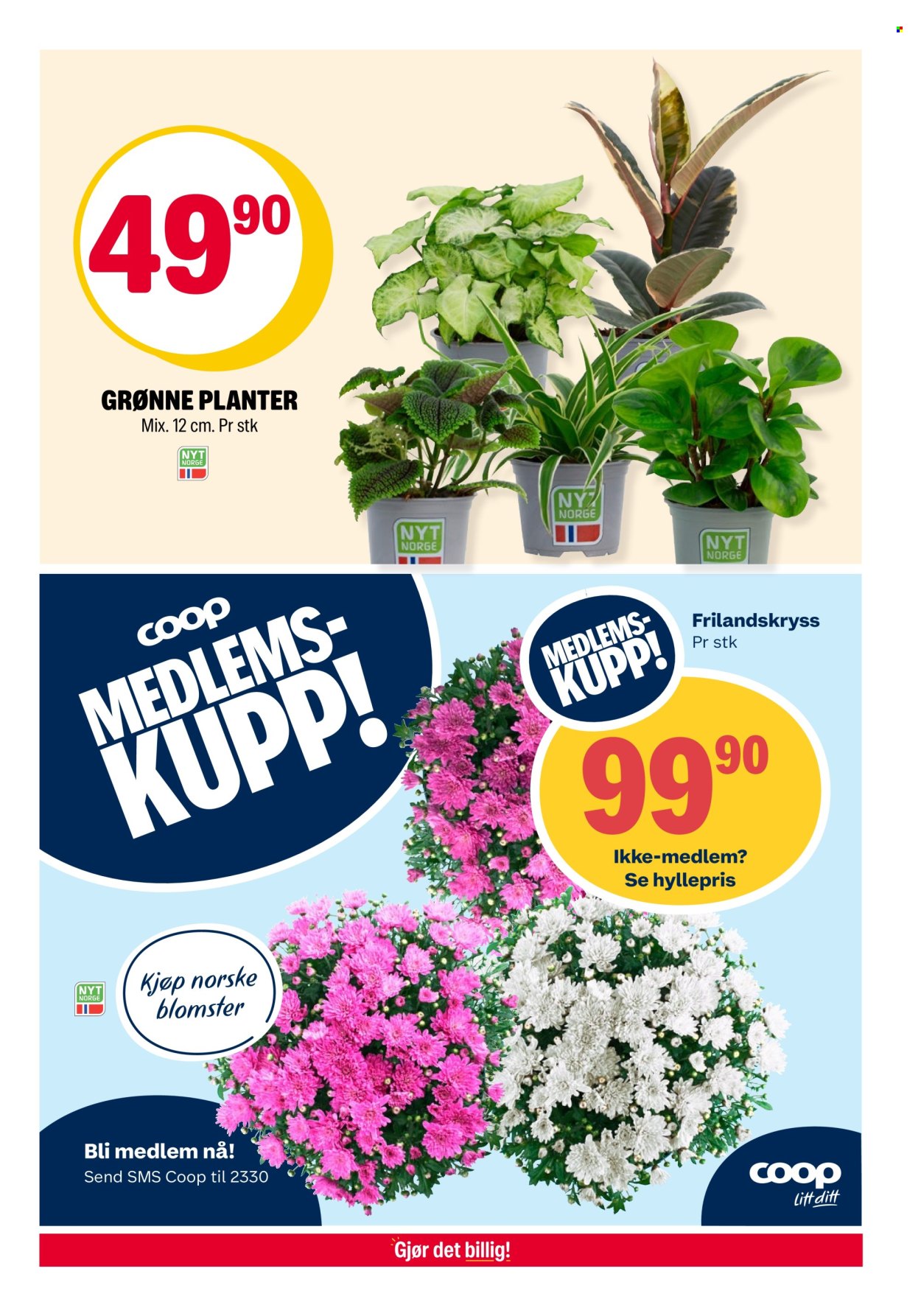 Kundeavis Coop Extra - 28.7.2025 - 3.8.2025. Side 29
