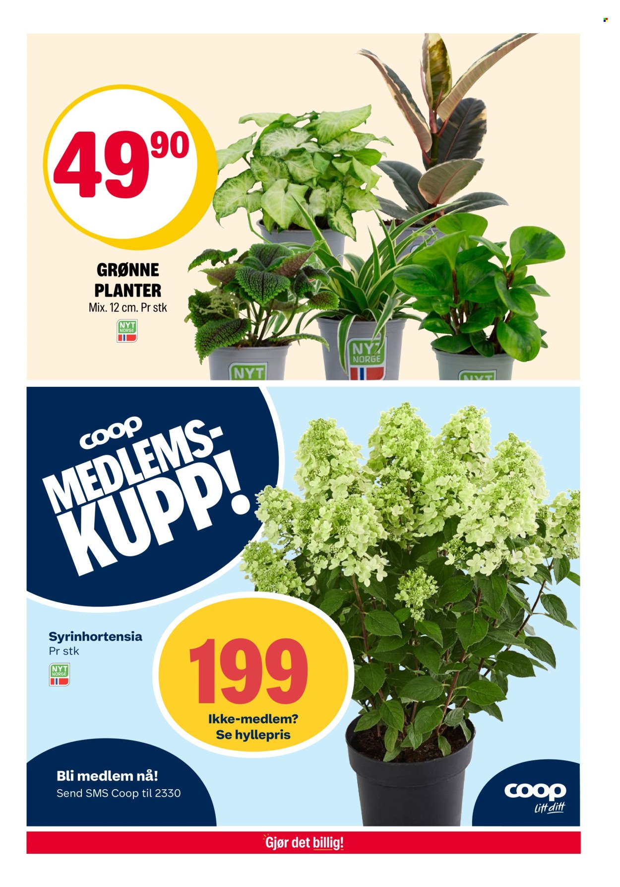 Kundeavis Coop Extra - 4.8.2025 - 10.8.2025. Side 19
