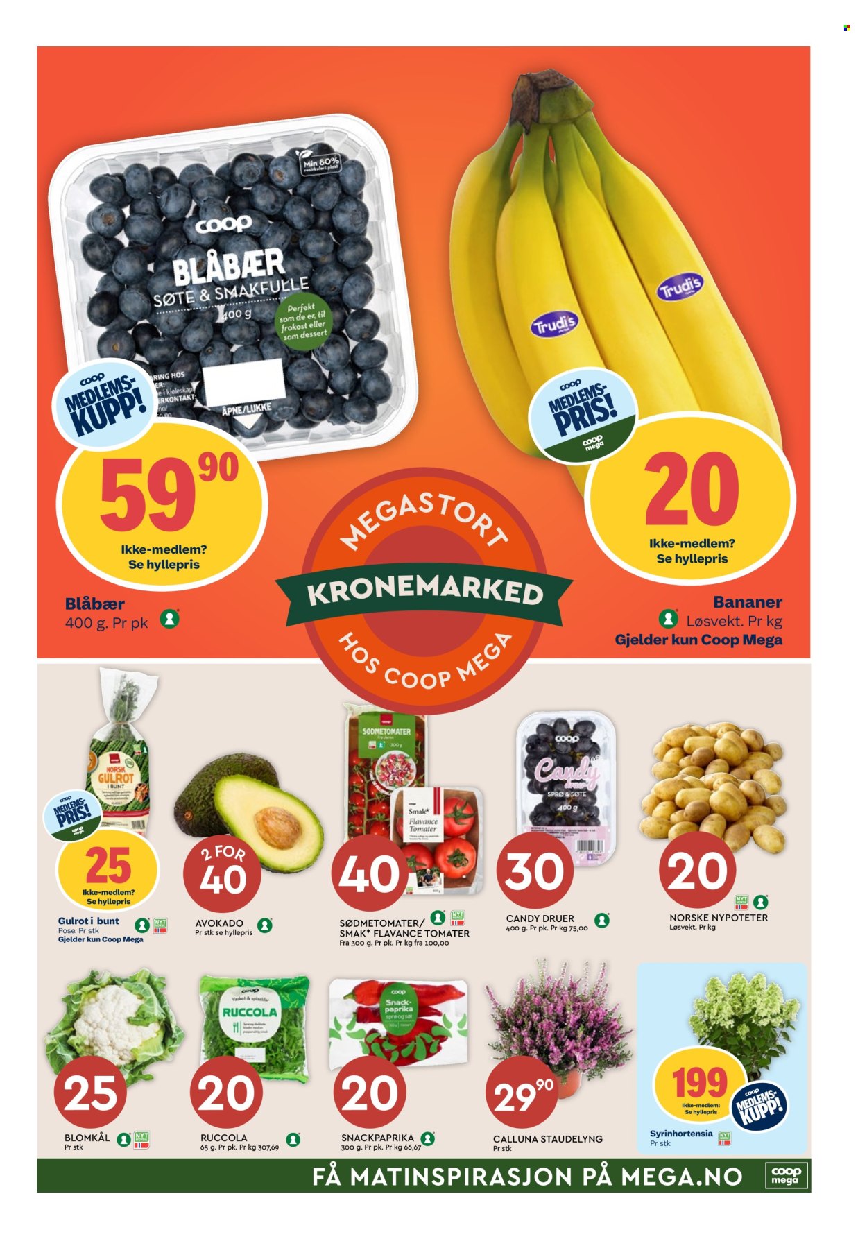Kundeavis Coop Mega - 11.8.2025 - 16.8.2025. Side 7