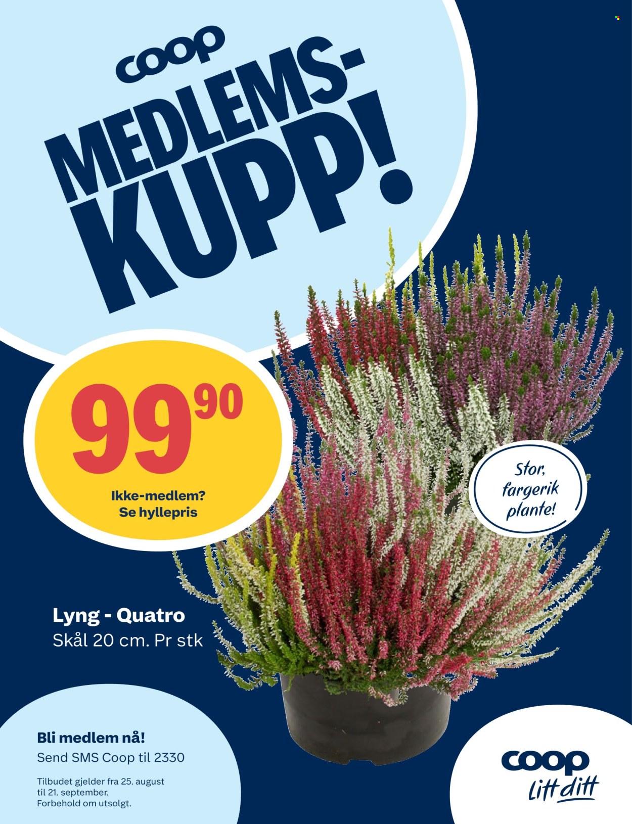 Kundeavis Coop Prix - 25.8.2025 - 31.8.2025. Side 11