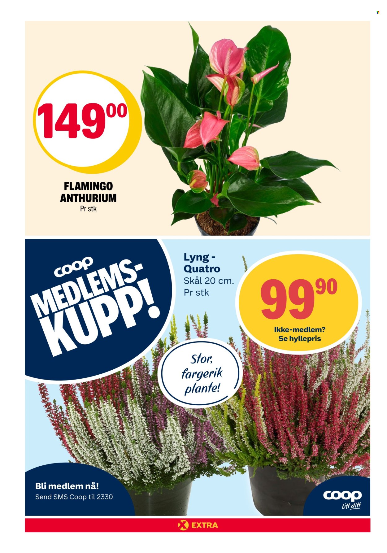 Kundeavis Coop Extra - 15.9.2025 - 21.9.2025. Side 24
