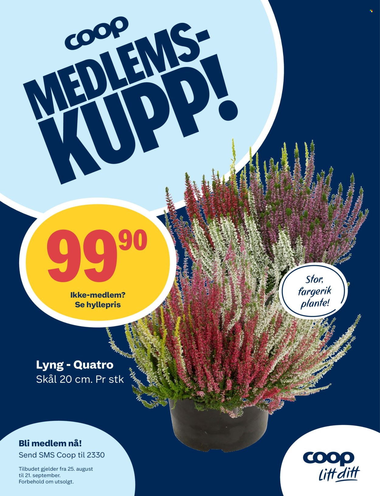 Kundeavis Coop Prix - 15.9.2025 - 21.9.2025. Side 12