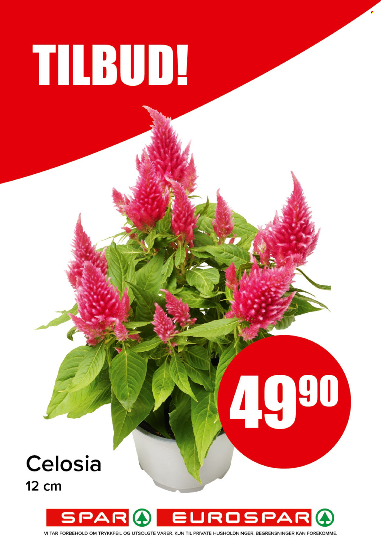 Kundeavis SPAR - 13.10.2025 - 19.10.2025. Side 16